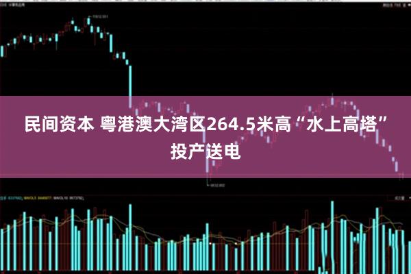 民间资本 粤港澳大湾区264.5米高“水上高塔”投产送电